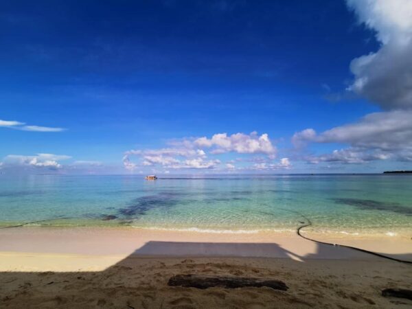 Banana Beach Club Barú Island – Best Beach Day Trip from Cartagena - Image 47