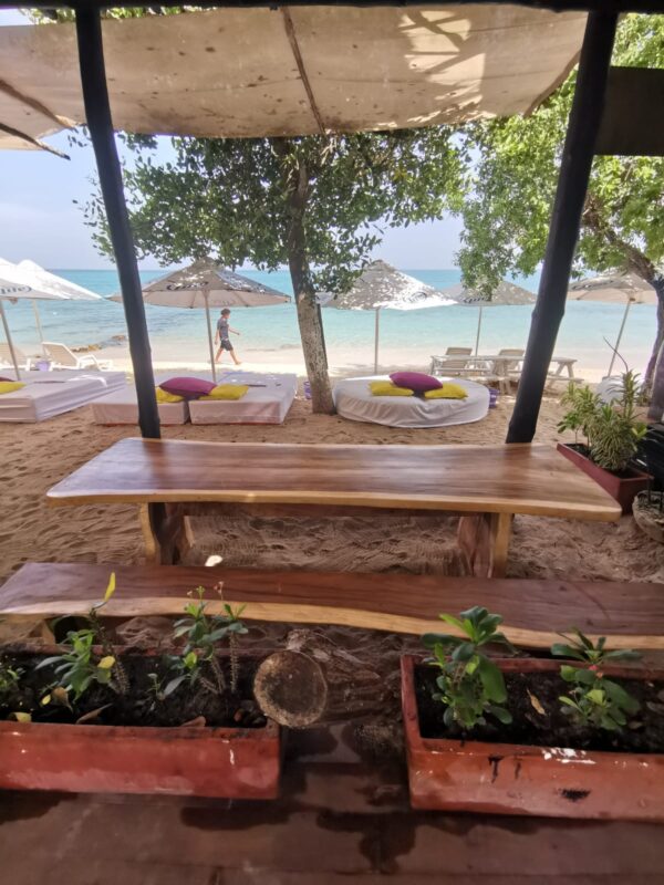 Banana Beach Club Barú Island – Best Beach Day Trip from Cartagena - Image 33