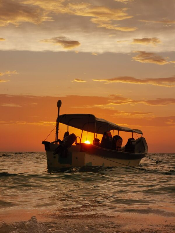 Banana Beach Club Barú Island – Best Beach Day Trip from Cartagena - Image 27